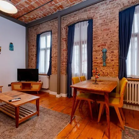 High Ceiliing And Stylish Flat Istanbul