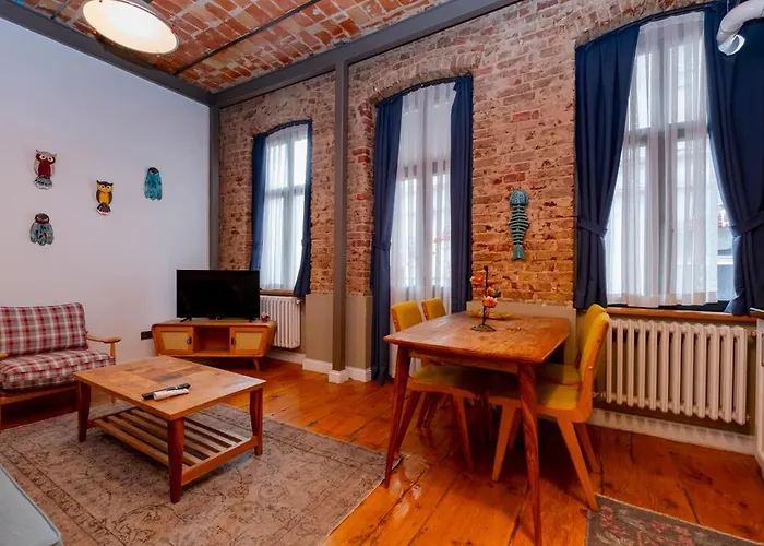 High Ceiliing And Stylish Flat Istanbul